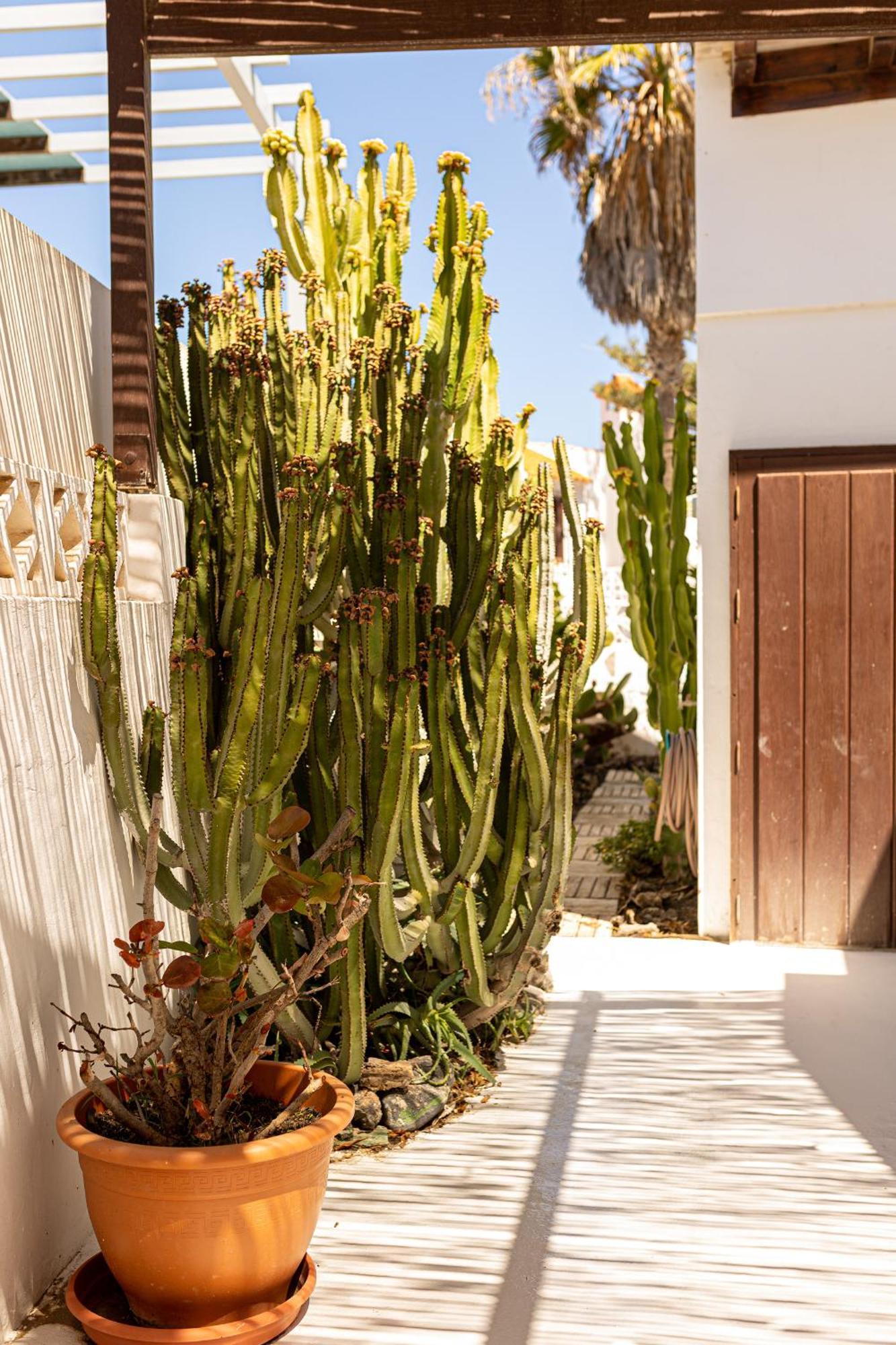 El Piloto By Best Holidays Fuerteventura Corralejo Exterior photo